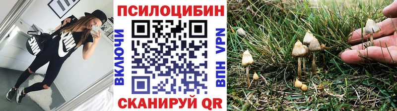 Псилоцибиновые грибы мухоморы дарнет шоп Татарск