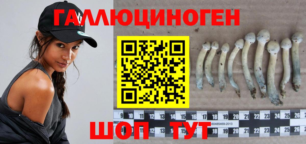 Галлюциногенные грибы Psilocybe Татарск