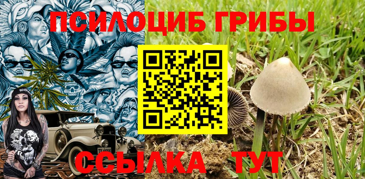 где купить   Татарск  Псилоцибиновые грибы Cubensis 