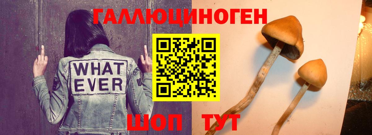 Галлюциногенные грибы мухоморы Татарск