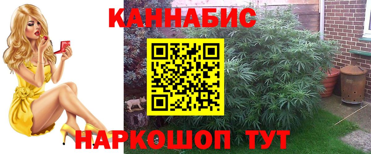 Конопля AK-47  Вход с VPN  Каннабис White Widow  Татарск  Канабис план 
